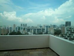 Twin Heights (D12), Apartment #576220731